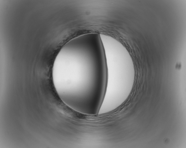X0000092260750200709141025