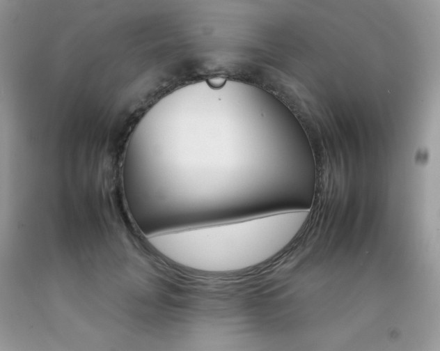 X0000092260751200709141025