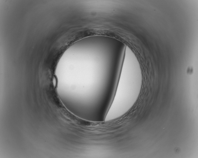 X0000092260752200709141025