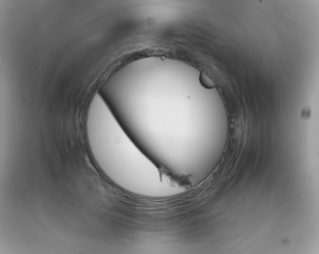 X0000092260753200709141025