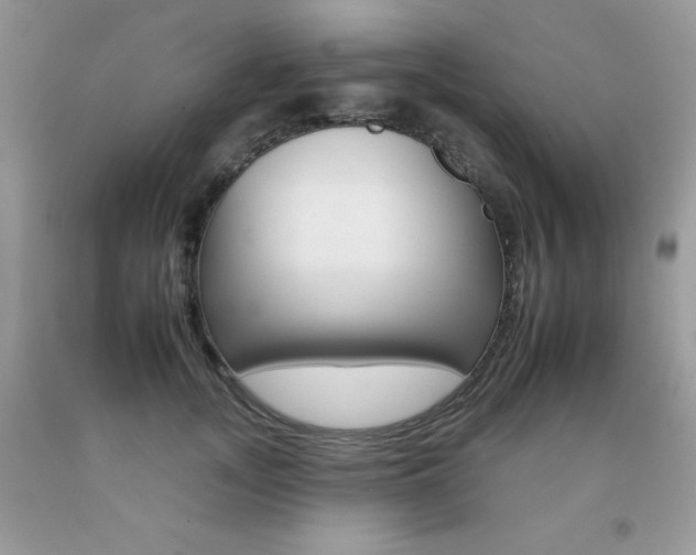 X0000092260755200709141026