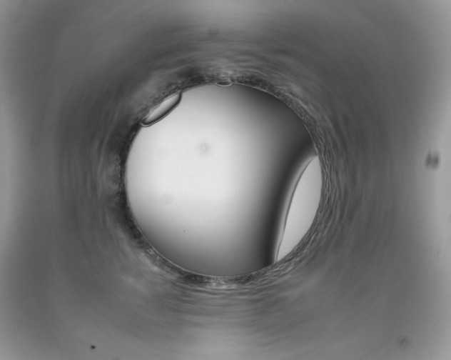 X0000092260760200709141026