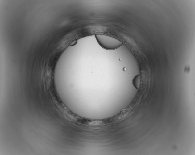 X0000092260761200709141026