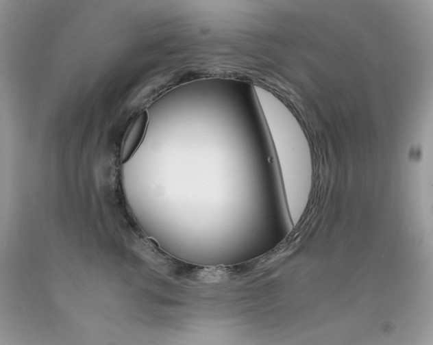 X0000092260762200709141026