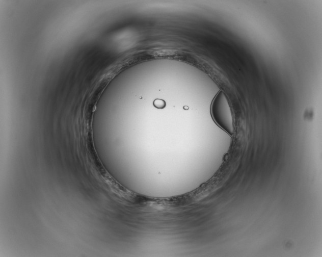 X0000092260763200709141026
