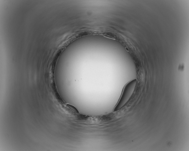 X0000092260764200709141026