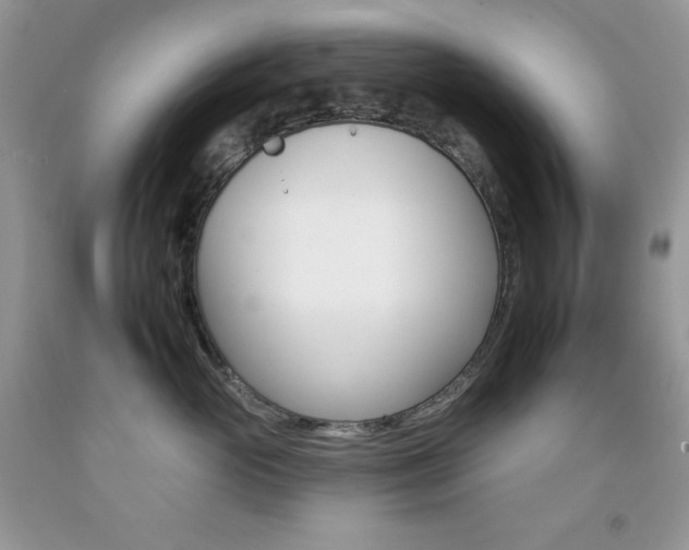 X0000092260765200709141026