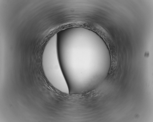 X0000092260773200709141025