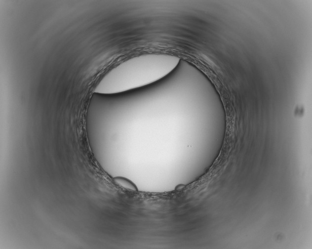 X0000092260774200709141025