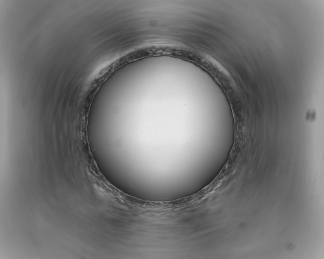X0000092260775200709141025