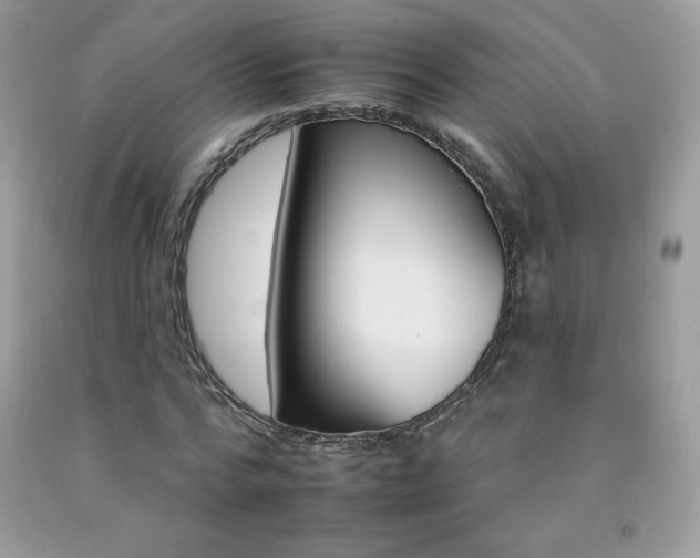 X0000092260776200709141025