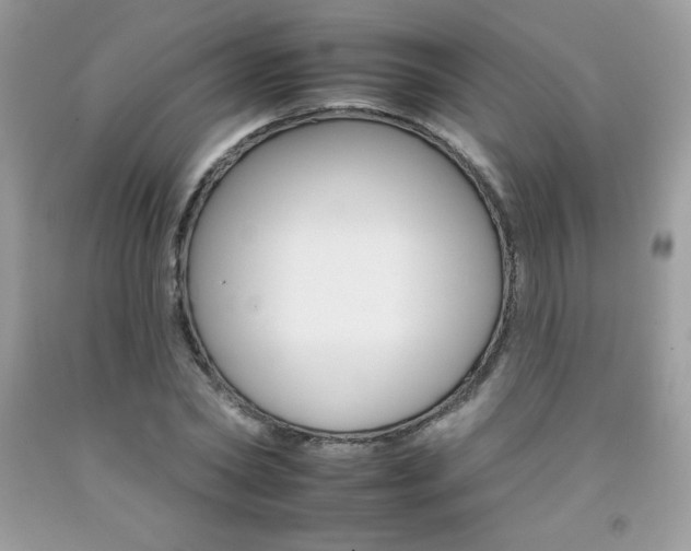 X0000092260782200709141025