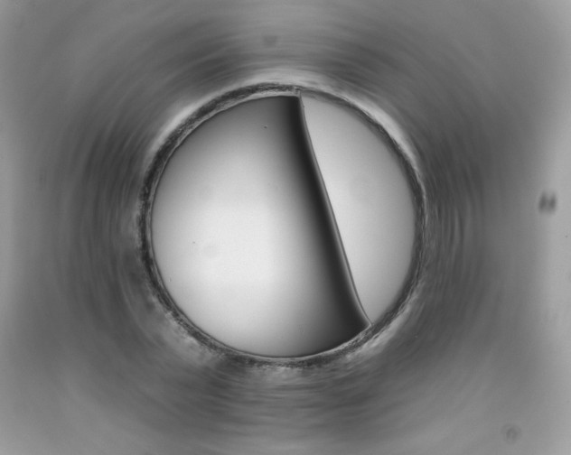 X0000092260783200709141025