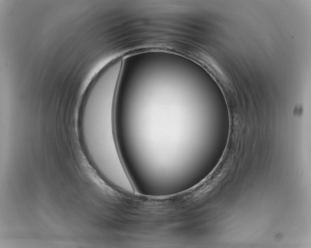 X0000092260788200709141025