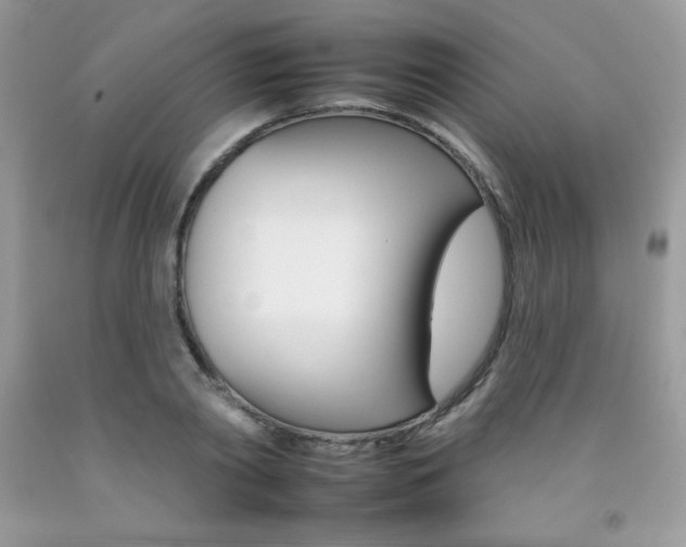X0000092260790200709141025