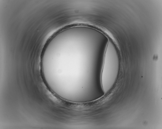 X0000092260791200709141025