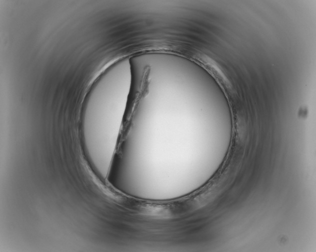 X0000092260794200709141025