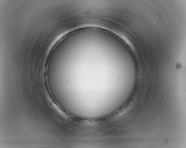 X0000092260799200709141025