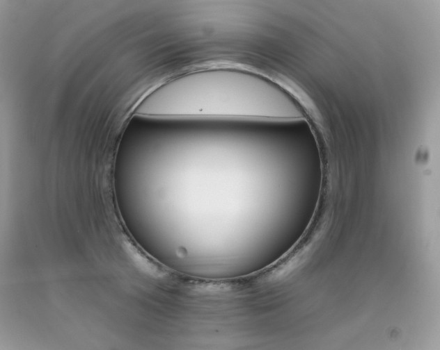 X0000092260801200709141025