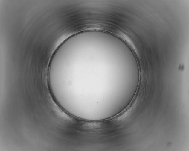 X0000092260802200709141025