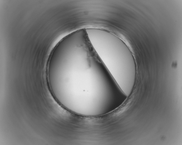 X0000092260803200709141025