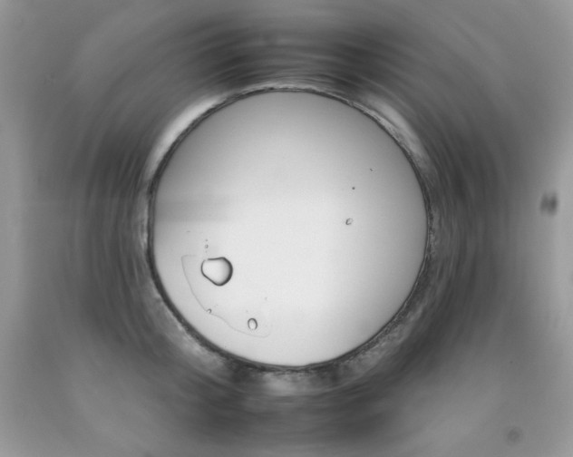 X0000092260804200709141025
