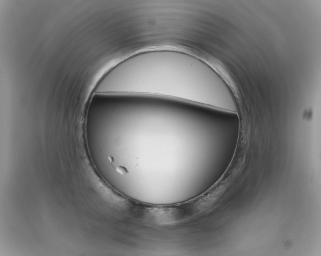 X0000092260805200709141025
