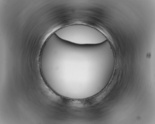 X0000092260806200709141025