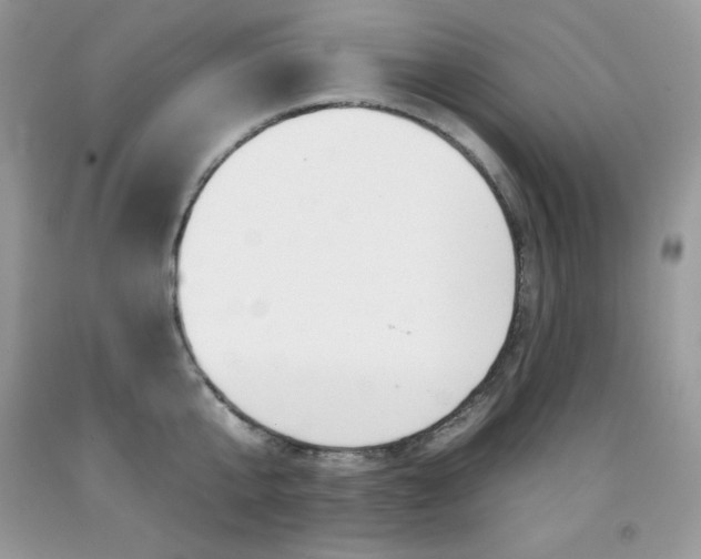 X0000092260807200709141025