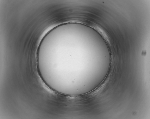 X0000092260808200709141025