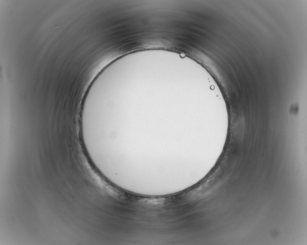 X0000092260810200709141025