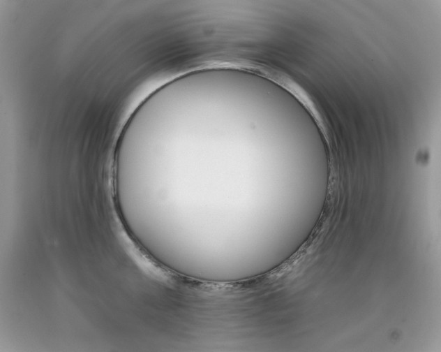 X0000092260811200709141025