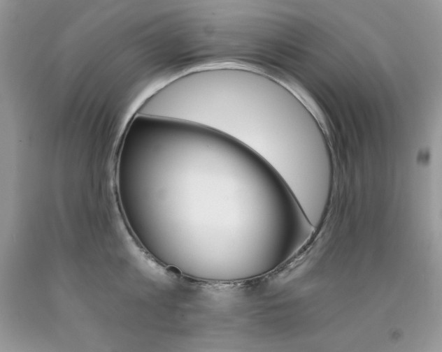 X0000092260813200709141025