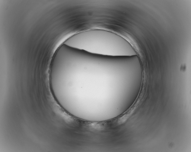 X0000092260814200709141025