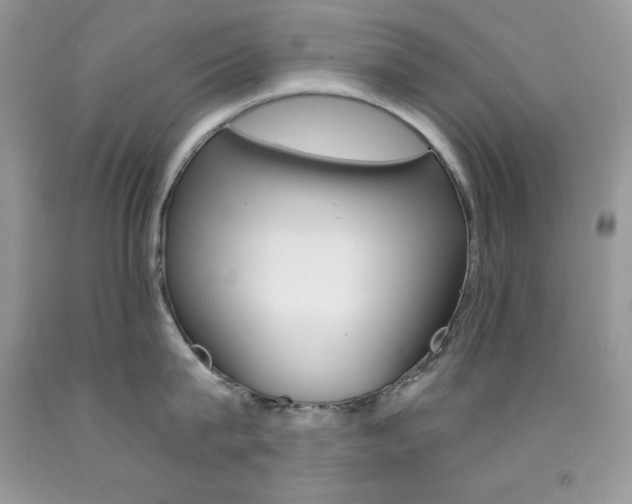 X0000092260815200709141025