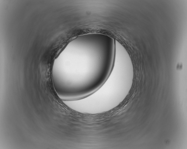X0000092260818200709141024