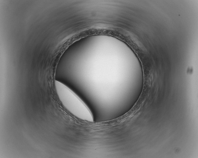 X0000092260821200709141024
