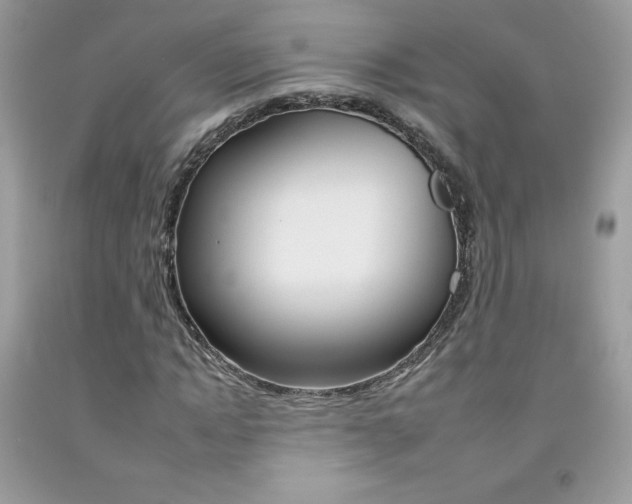 X0000092260822200709141024