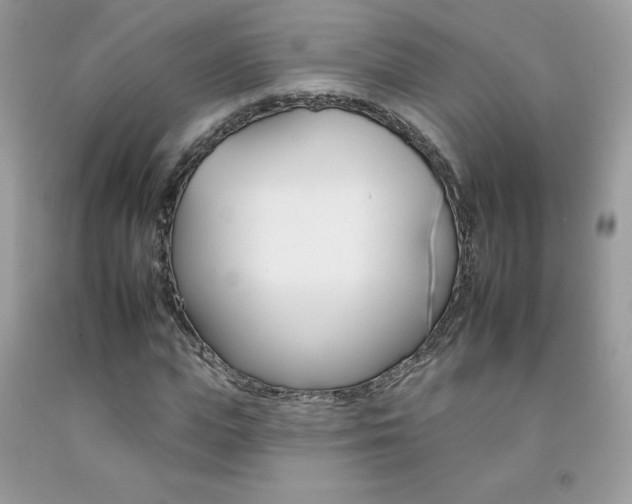 X0000092260823200709141024