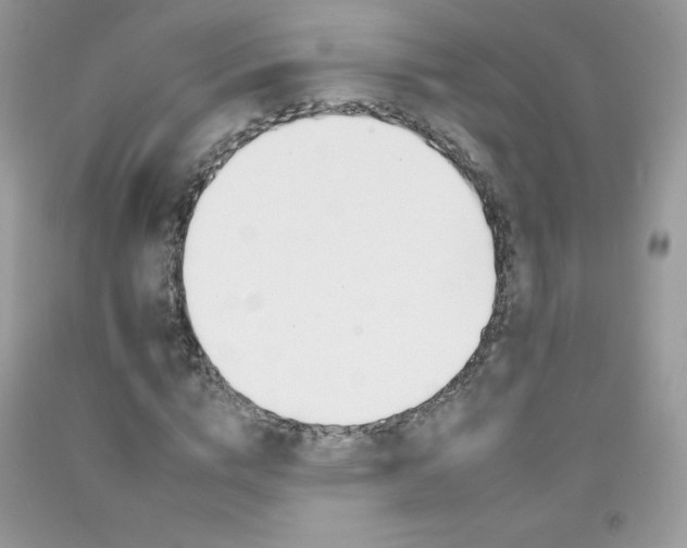 X0000092260824200709141024