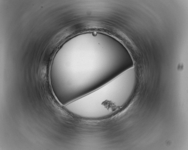 X0000092260825200709141024
