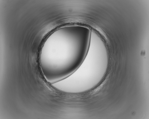 X0000092260826200709141024
