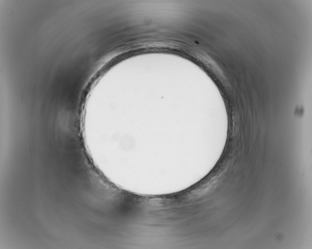 X0000092260828200709141024