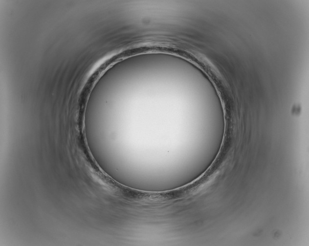 X0000092260830200709141024