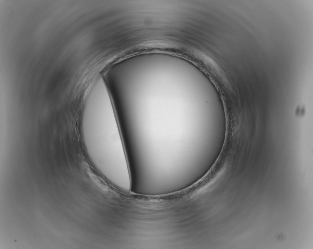 X0000092260833200709141024