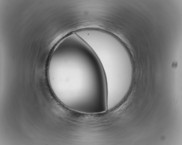 X0000092260834200709141024