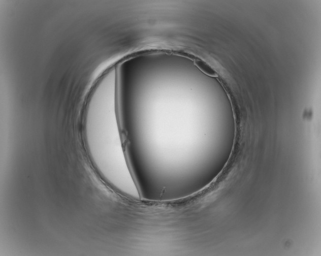 X0000092260838200709141024