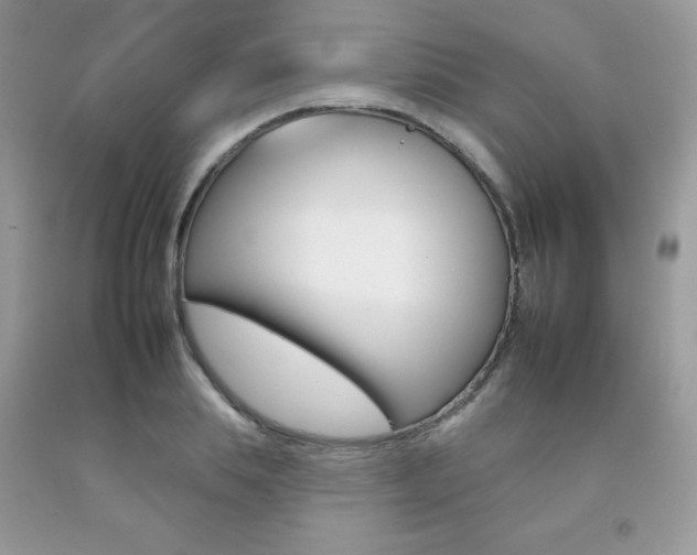 X0000092260839200709141024