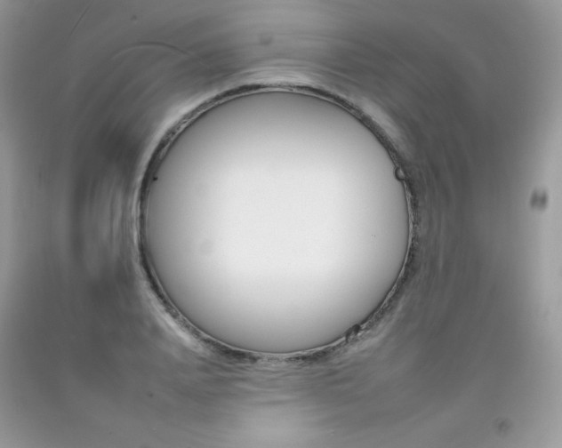 X0000092260840200709141024