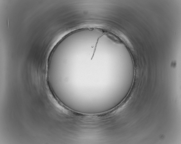 X0000092260844200709141024